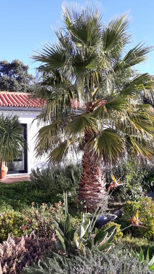 Pirilampo Apartment Monchique Exterior foto